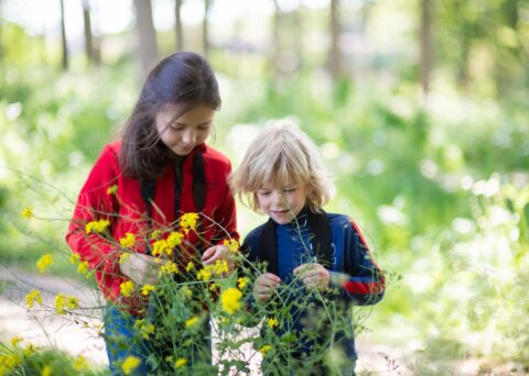 Twee kinderen onderzoeken gele bloemen in een groene, zonnige omgeving.