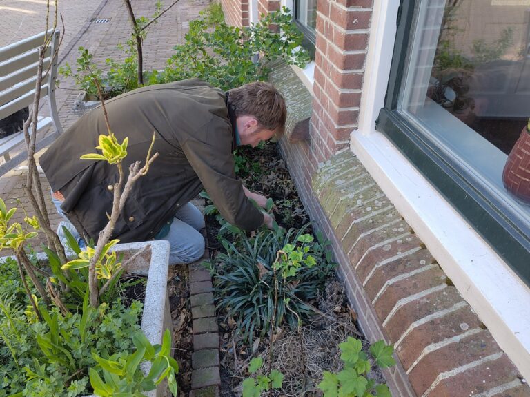 Man tuiniert naast een bakstenen muur, omringd door planten en bladeren.