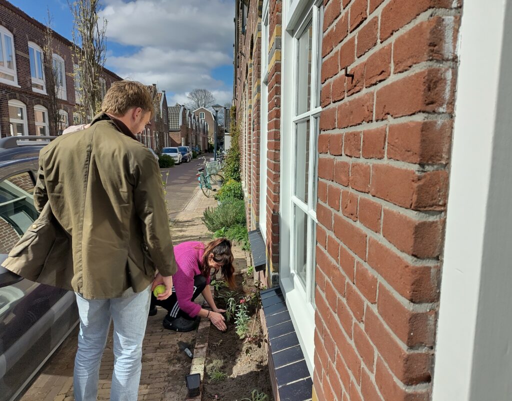 Persoon plant bloemen langs bakstenen huis op zonnige dag in woonstraat.