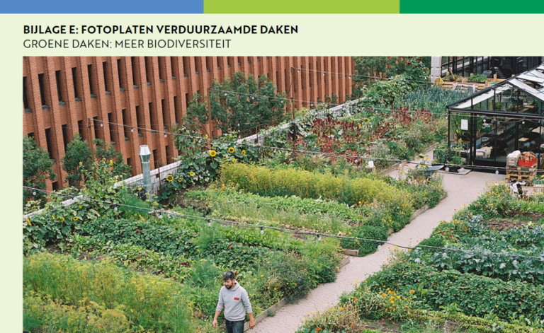 Daktuinen met diverse planten en bloemen, een man loopt op een pad tussen de groene bedden.