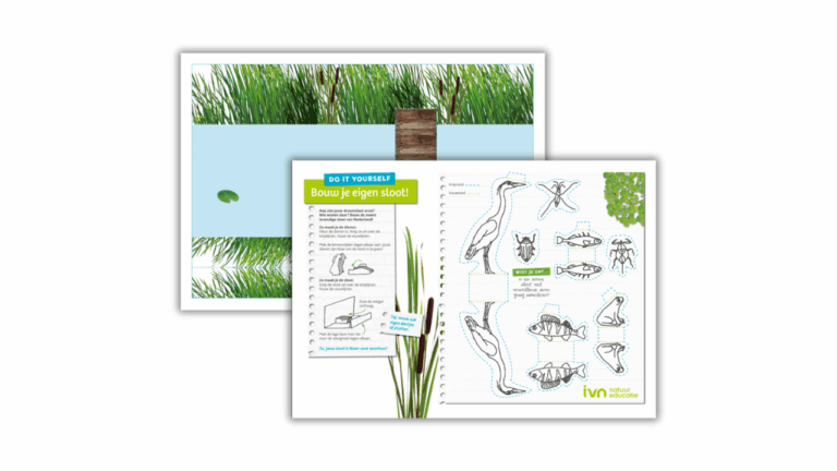 DIY gids voor het bouwen van een sloot met illustraties van dieren en instructies van IVN Natuureducatie.