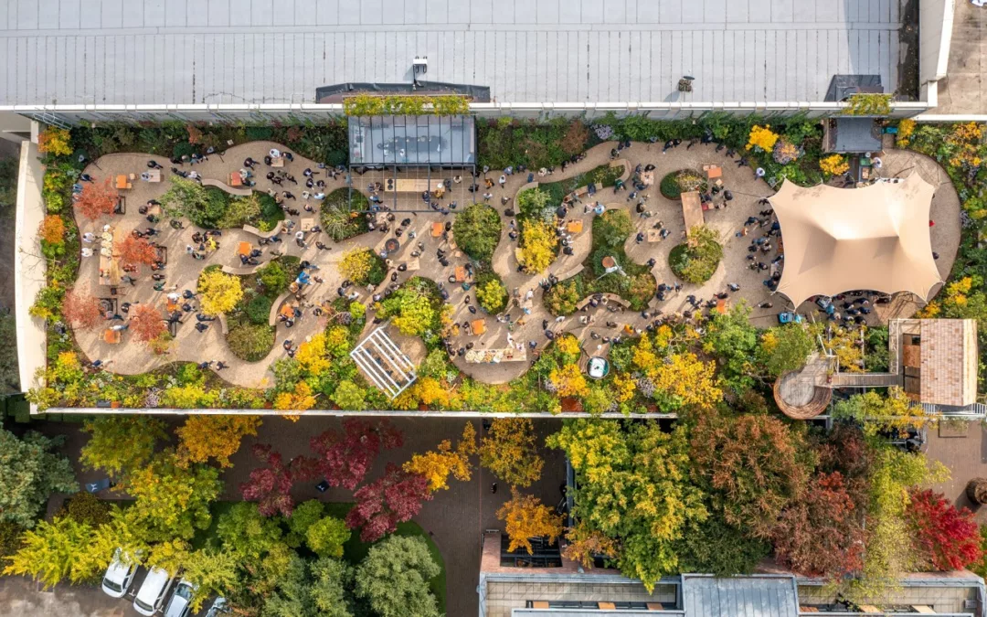 Daktuin met wandelpaden, bomen en mensen, omringd door kleurrijke herfstbomen.