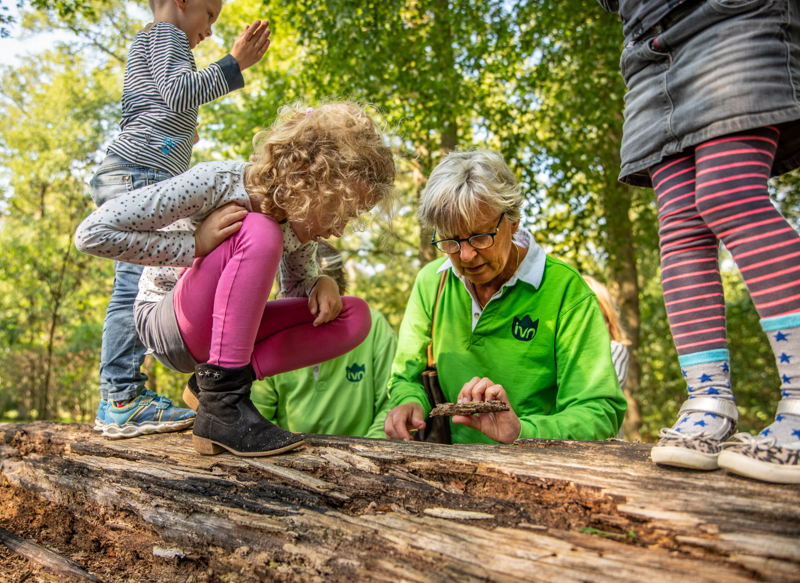 Kinderen observeren natuur met gids, zittend op een gevallen stam in een bosrijke omgeving.