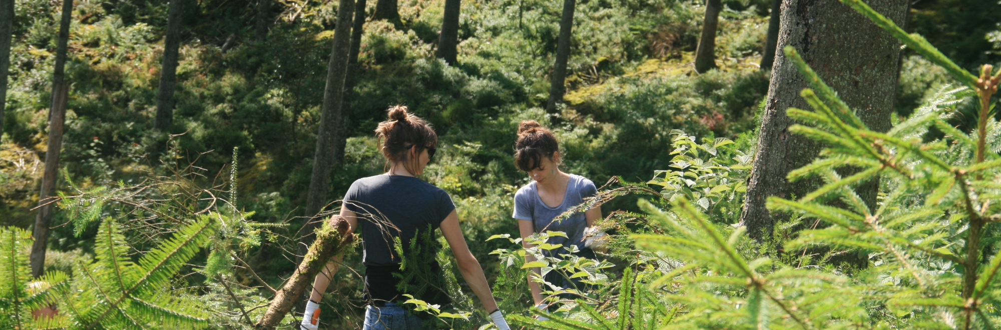 Twee vrouwen werken in een dichtbegroeid bos, omringd door groene vegetatie.