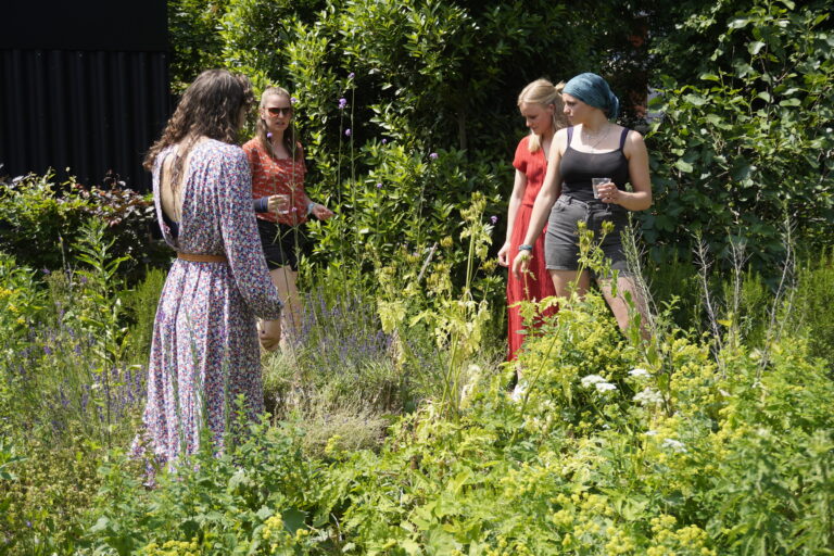 groep jongvolwassenen in een groen veld
