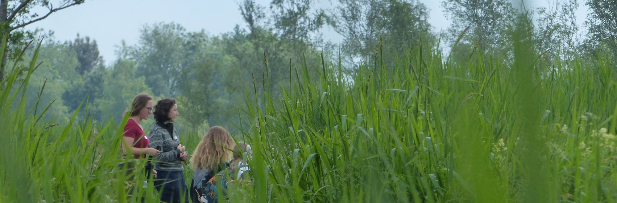 Drie mensen staan in hoog gras, met bomen op de achtergrond, tijdens een bewolkte dag.