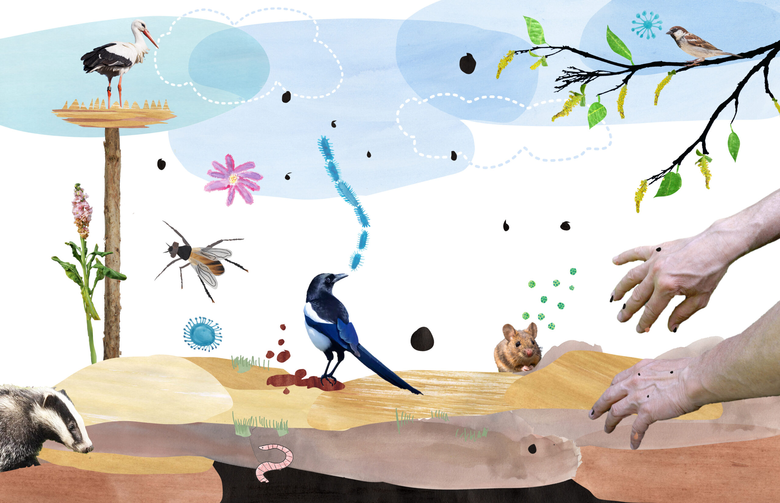 Tekening met dieren en handen