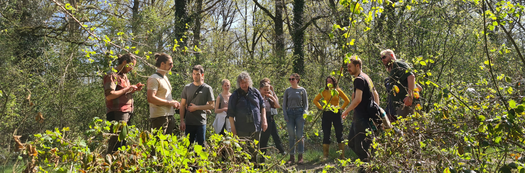 Groep mensen bespreekt iets in een dichtbebost gebied, omgeven door groen en zonlicht.
