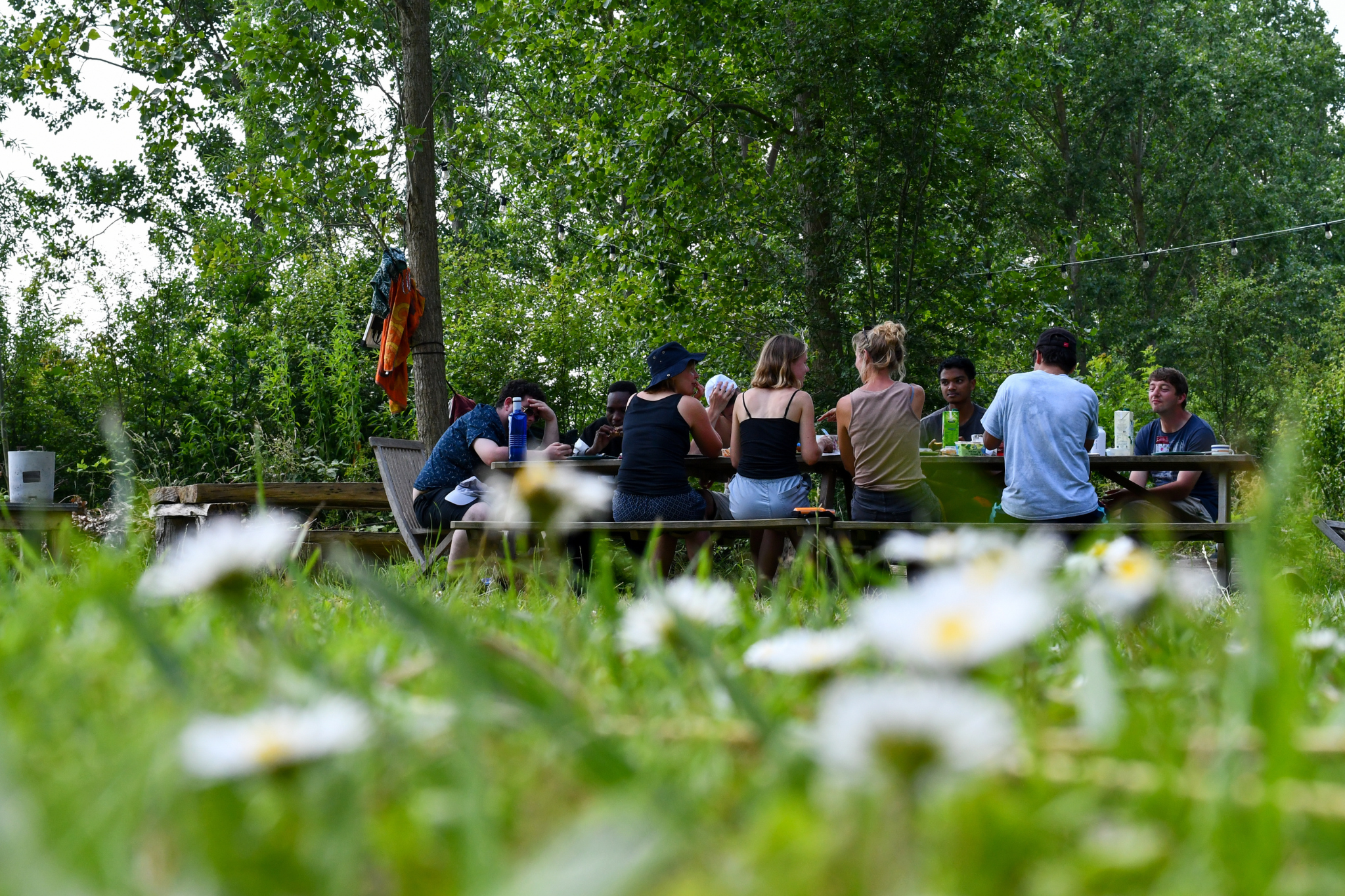 Sfeerbeeld van een groep mensen aan een houten picknick tafel met madeliefjes op de voorgrond