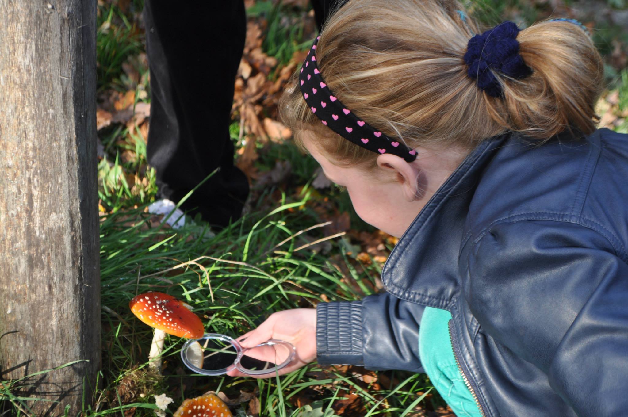 Kind bekijkt paddenstoel met vergrootglas in gras naast houten paal.