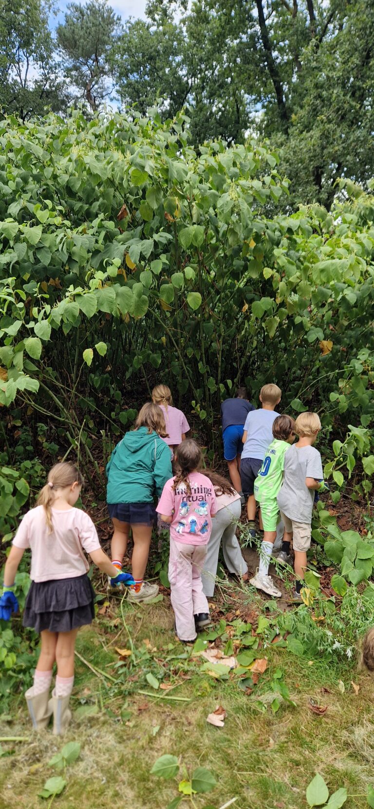 Kinderen verkennen een dichtbegroeid bos. Lommerrijke bomen en struiken omringen hen.
