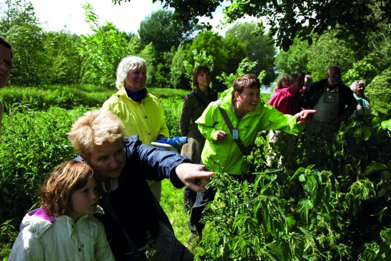 Een groep mensen observeert planten in een groene, bosrijke omgeving.