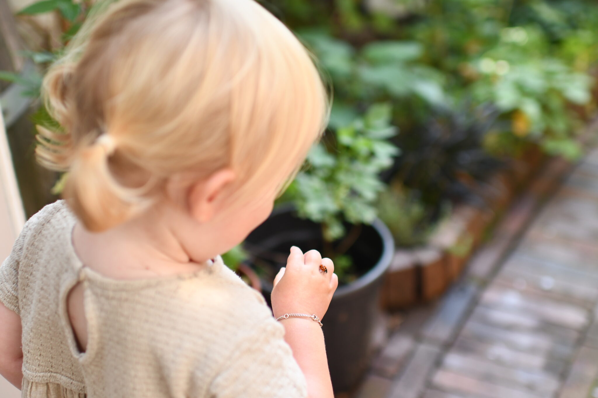 Klein kind houdt een lieveheersbeestje vast in een tuin met groene planten.