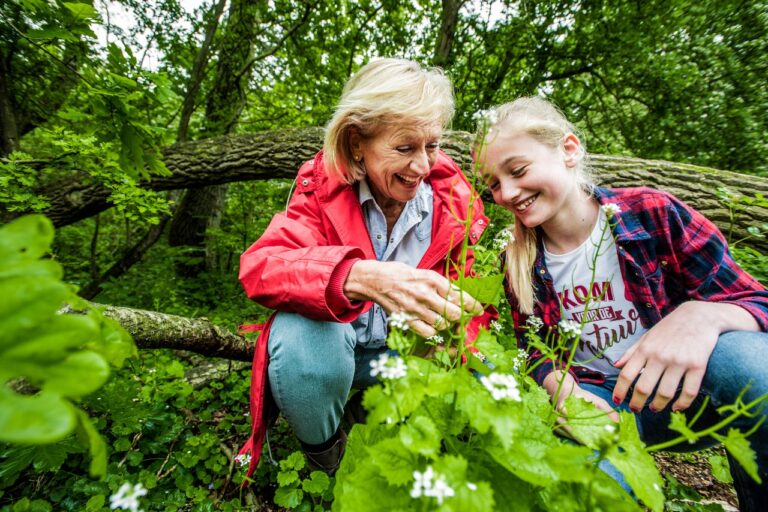 Oma en kleindochter bewonderen bloemen in een groen bos.