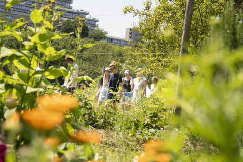 Groep mensen loopt door een groene tuin met bloemen en bomen op een zonnige dag.