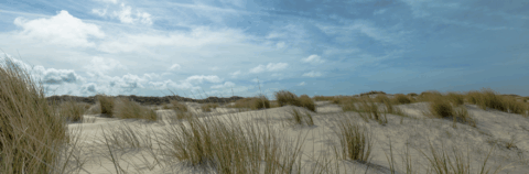 Zandduinen met wuivend helmgras onder een blauwe, bewolkte hemel.