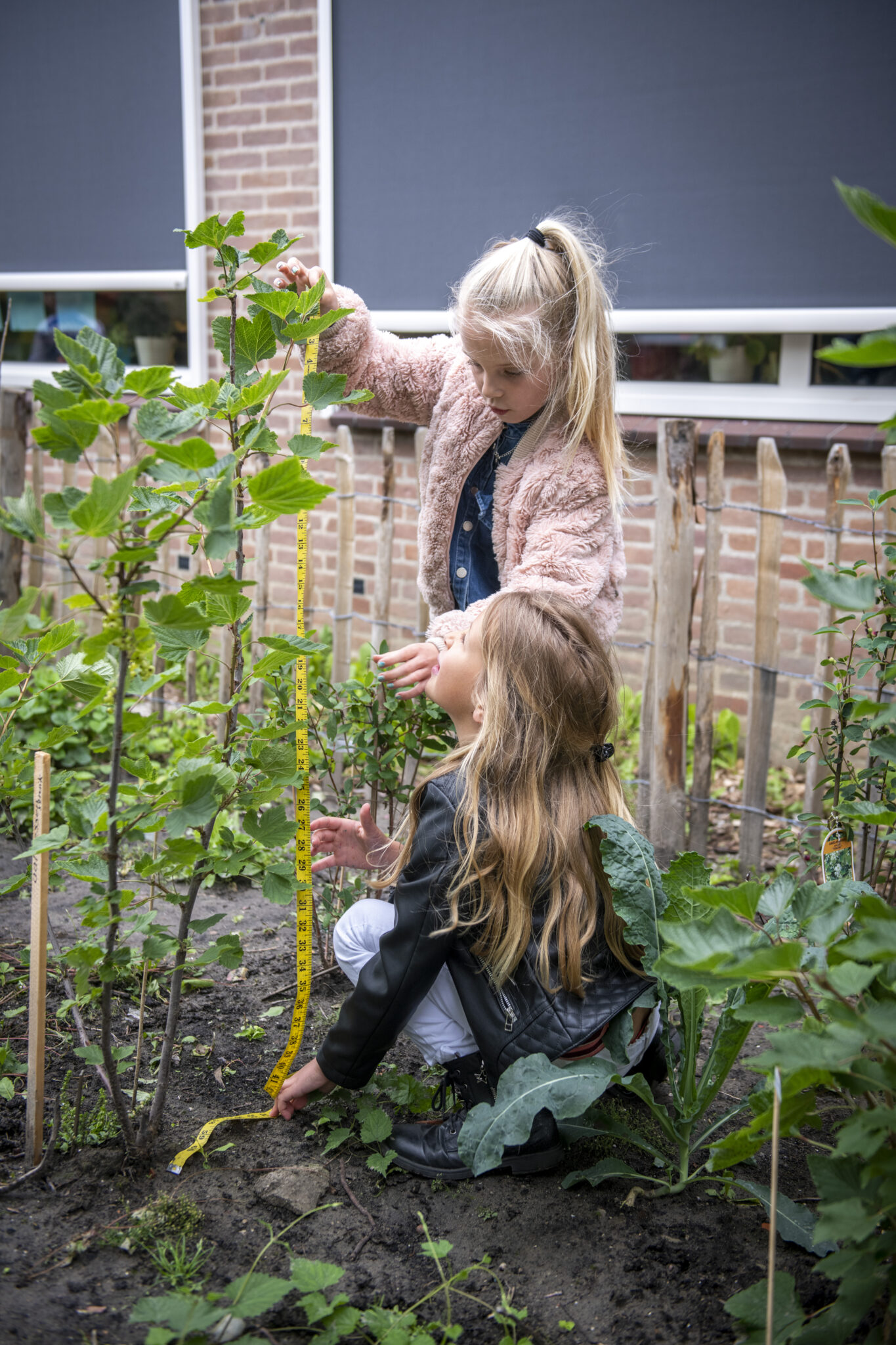 Twee kinderen meten samen een plant in een tuin op met een meetlint.