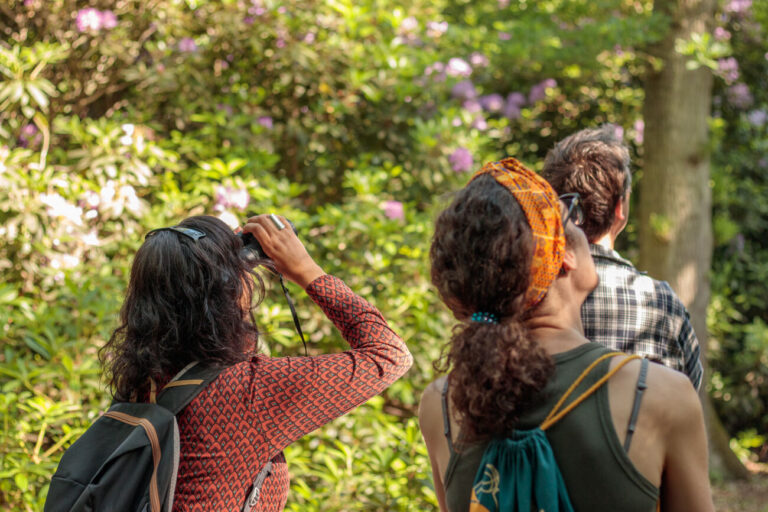 Drie mensen kijken naar bomen in een bos, één gebruikt een verrekijker.