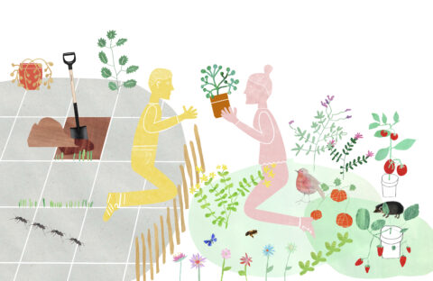 Twee mensen planten in een tuin met bloemen, bijen, vogels en tomatenplanten.