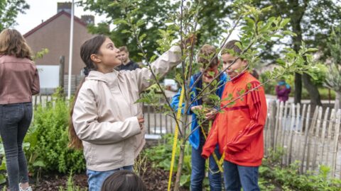 Kinderen inspecteren en meten een jonge boom in een tuin.