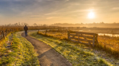 Man wandelt op landelijk pad bij zonsopgang; nevelige weide en houten hek links.