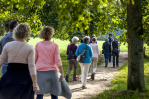 Wandelen door de natuur