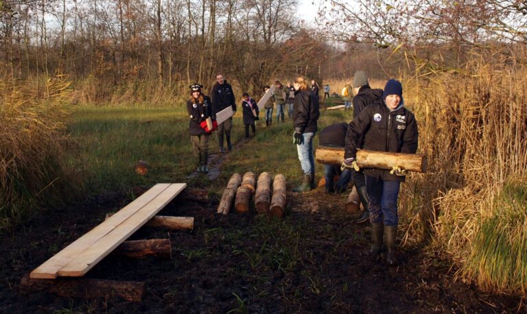 Mensen bouwen een houten pad in een nat graslandgebied met stammen en planken.