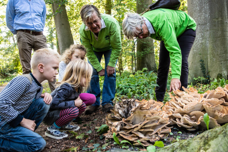 Groep kinderen en volwassenen observeert grote paddenstoelen in een bosrijke omgeving.