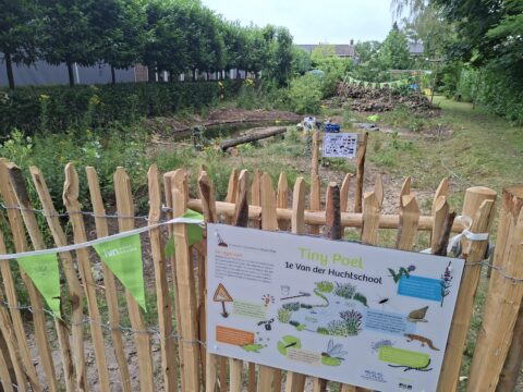 Houten hek rond kleine poel bij school, met informatiebord en groene vlaggetjes.