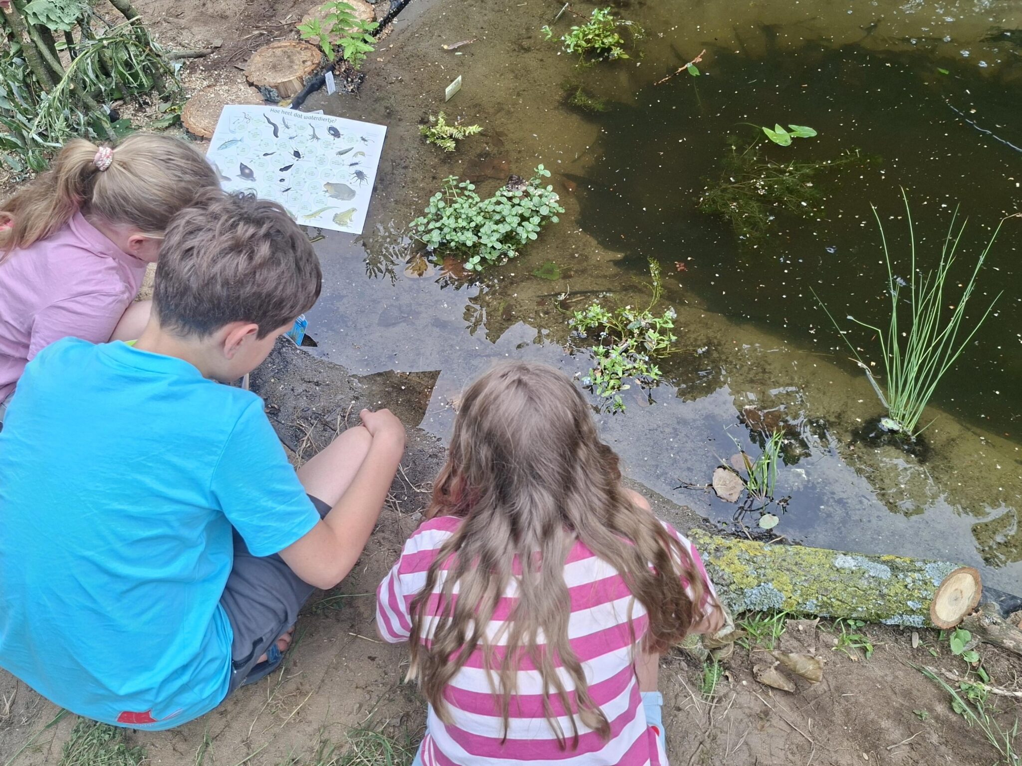 Drie kinderen onderzoeken een vijver met planten en een identificatiekaart.