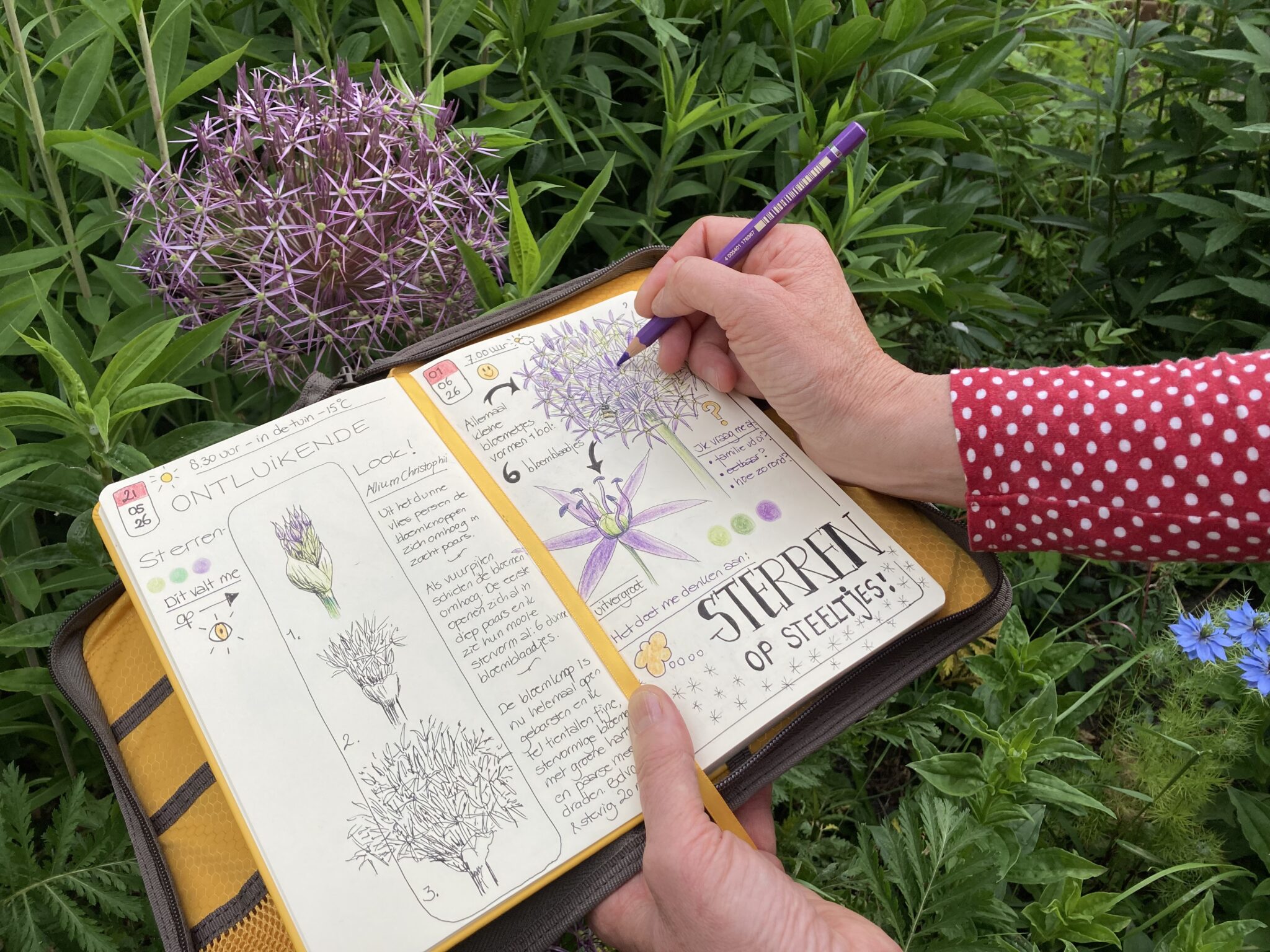 Hand tekent in een botanisch notitieboekje met bloemenillustraties in een tuin.