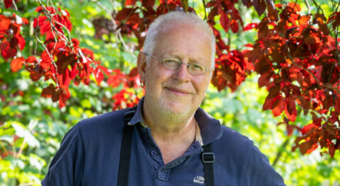 Man in blauwe polo met verrekijker voor rode bladeren in groene omgeving.