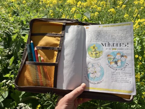 Een open schetsboek met bloemenillustraties en tekst, gehouden in een veld met gele bloemen.