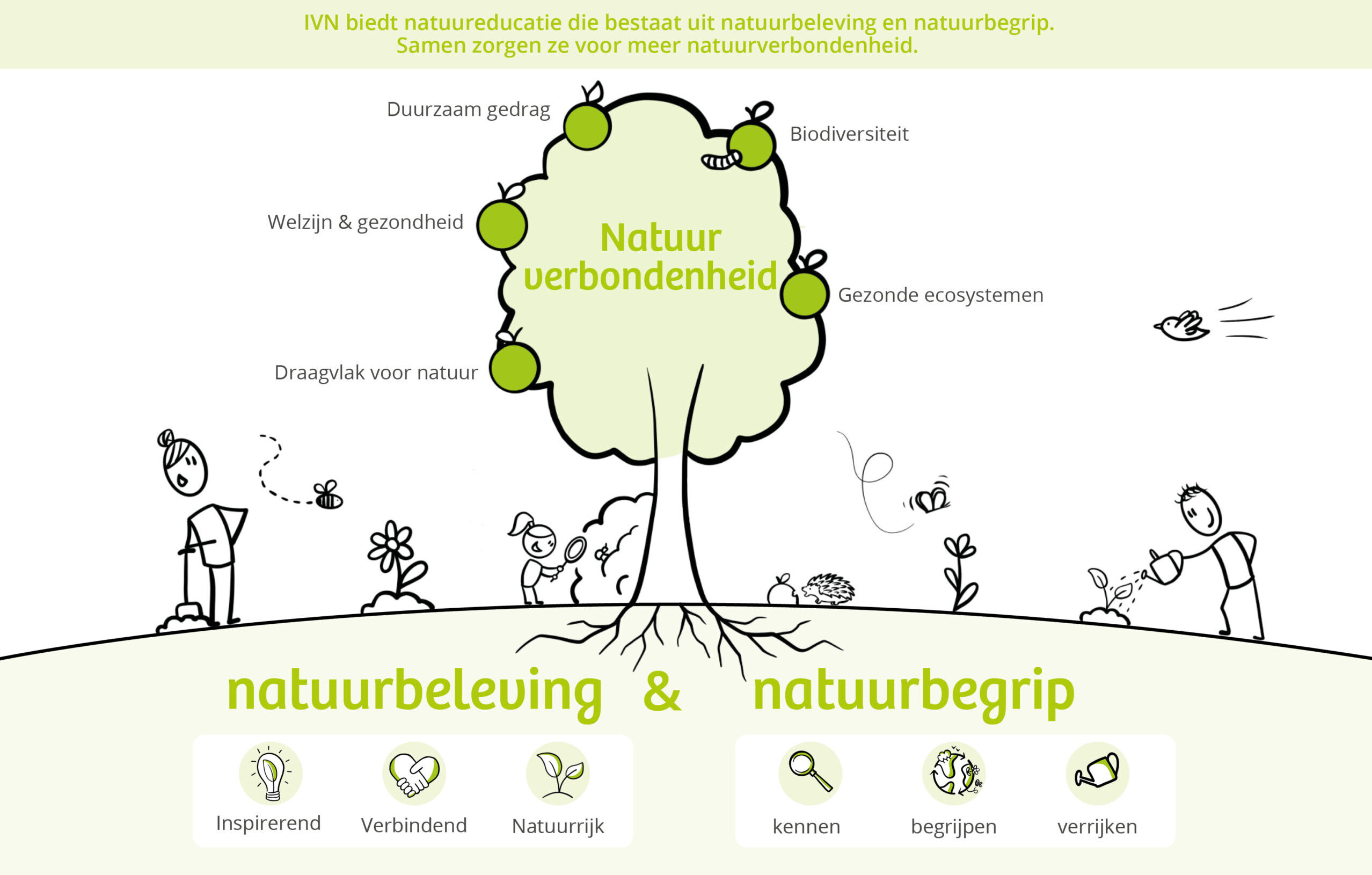 Illustratie van een boom met iconen die natuurervaring en -begrip bij IVN uitleggen.