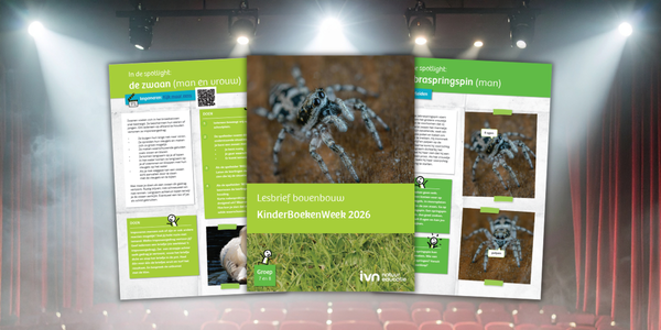 Brochures over zwanen en zebraspringspinnen voor KinderBoekenWeek 2026, theaterachtergrond.