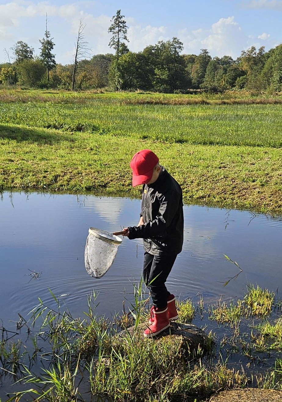 Kind met rode pet en laarzen vangt iets in een vijver met een net, te midden van groen landschap.