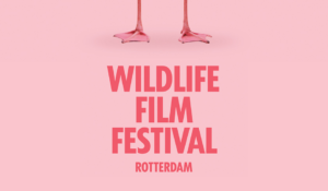 Poster van het Wildlife Film Festival Rotterdam met flamingo's poten op een roze achtergrond.