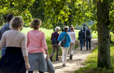 ouderen wandelen in de natuur tijdens excursie