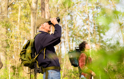 vogels kijken en wandelen in de natuur