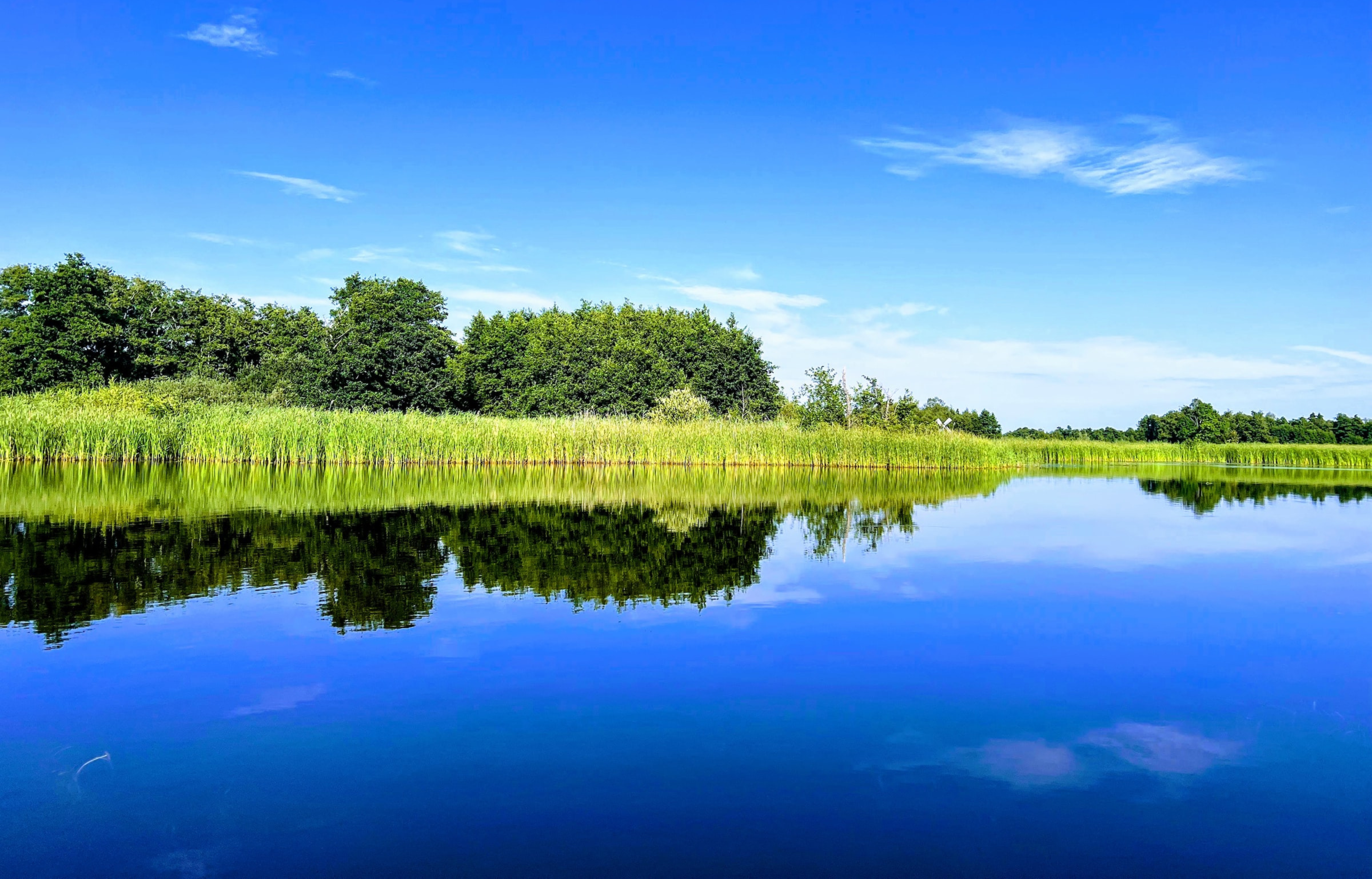 Rustige rivier met riet en bomen weerspiegelen in helder, blauw water onder een heldere hemel.