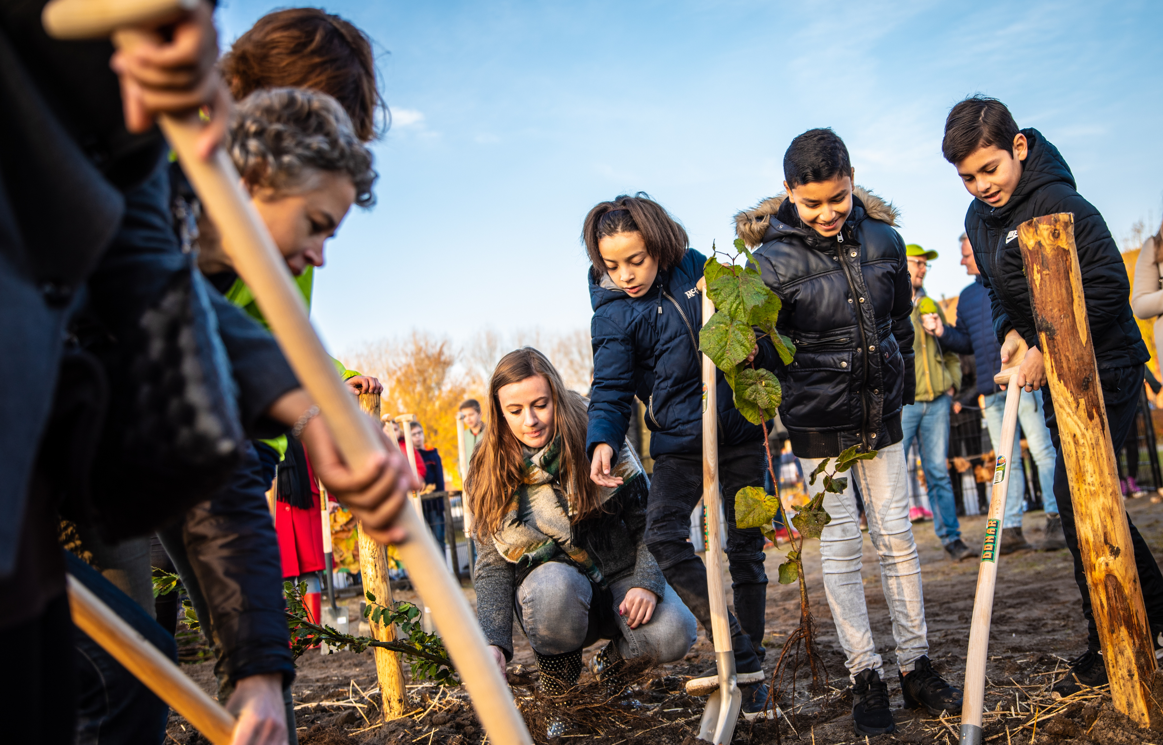 Groep kinderen en volwassenen planten samen een jonge boom op een zonnige dag.