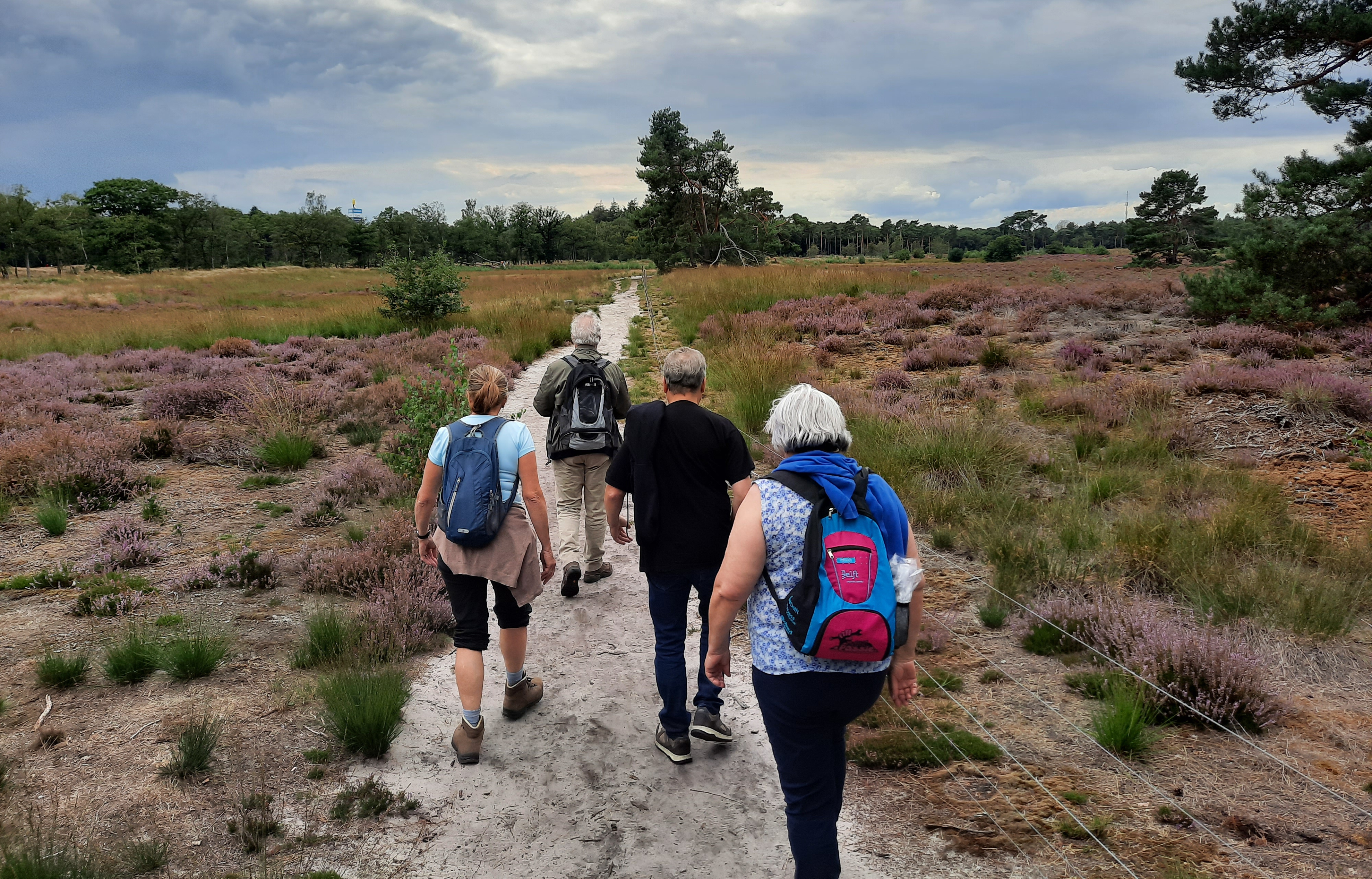 Vier mensen wandelen op een pad door een heideveld onder een bewolkte lucht.
