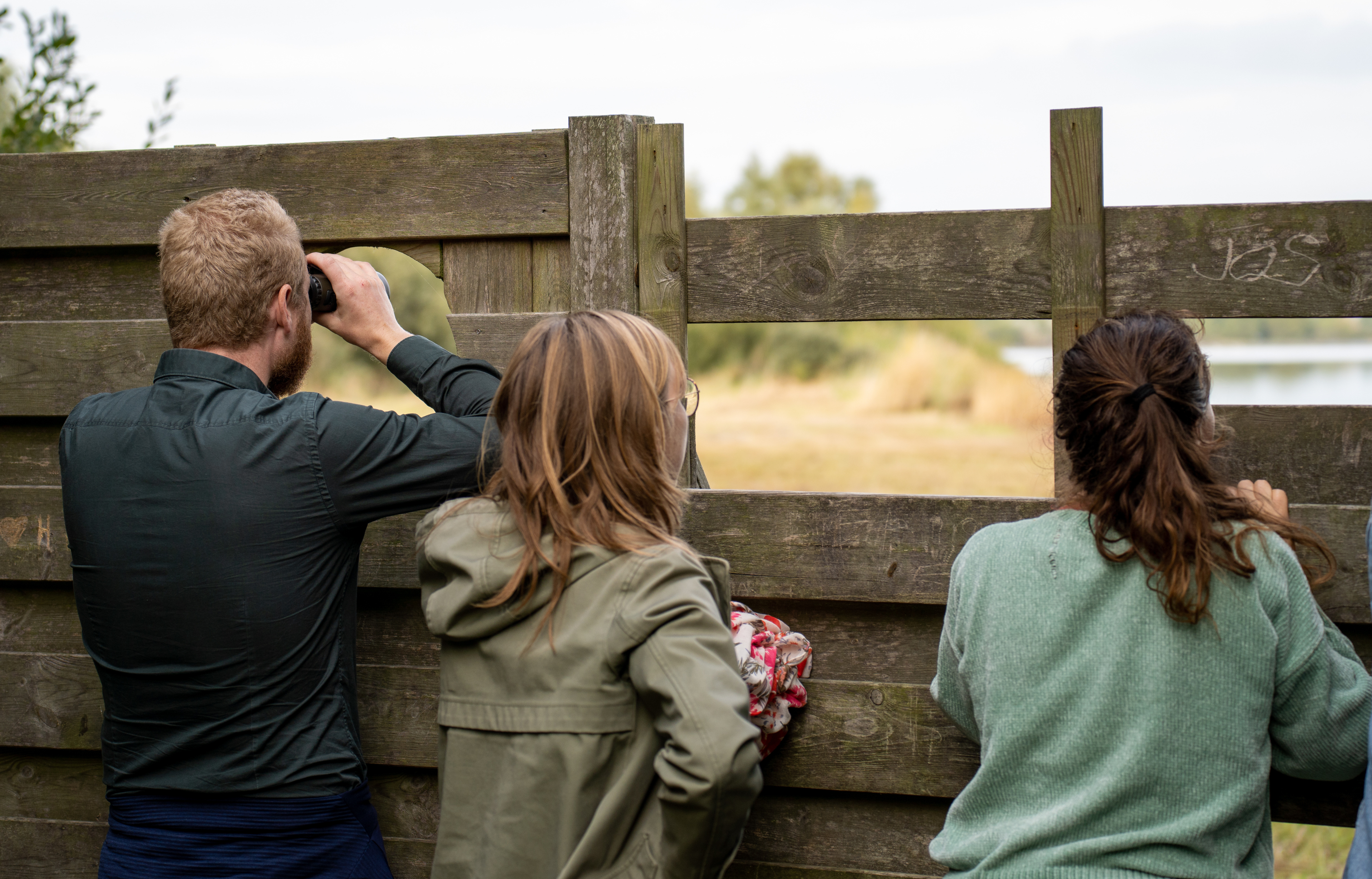 Drie mensen kijken door gaten in een houten schutting naar een natuurgebied.