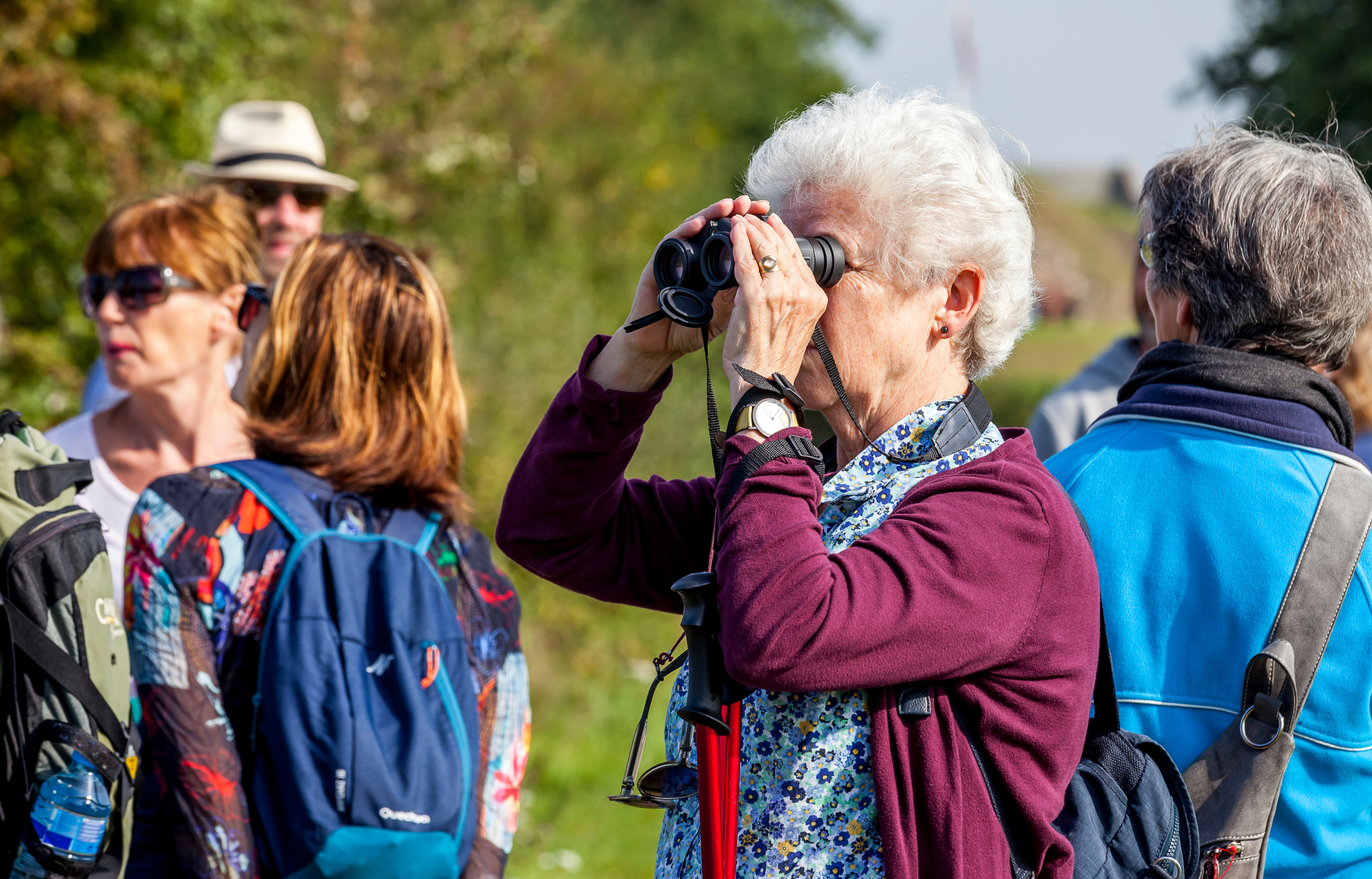 Groep wandelaars, oudere vrouw kijkt door verrekijker in park.