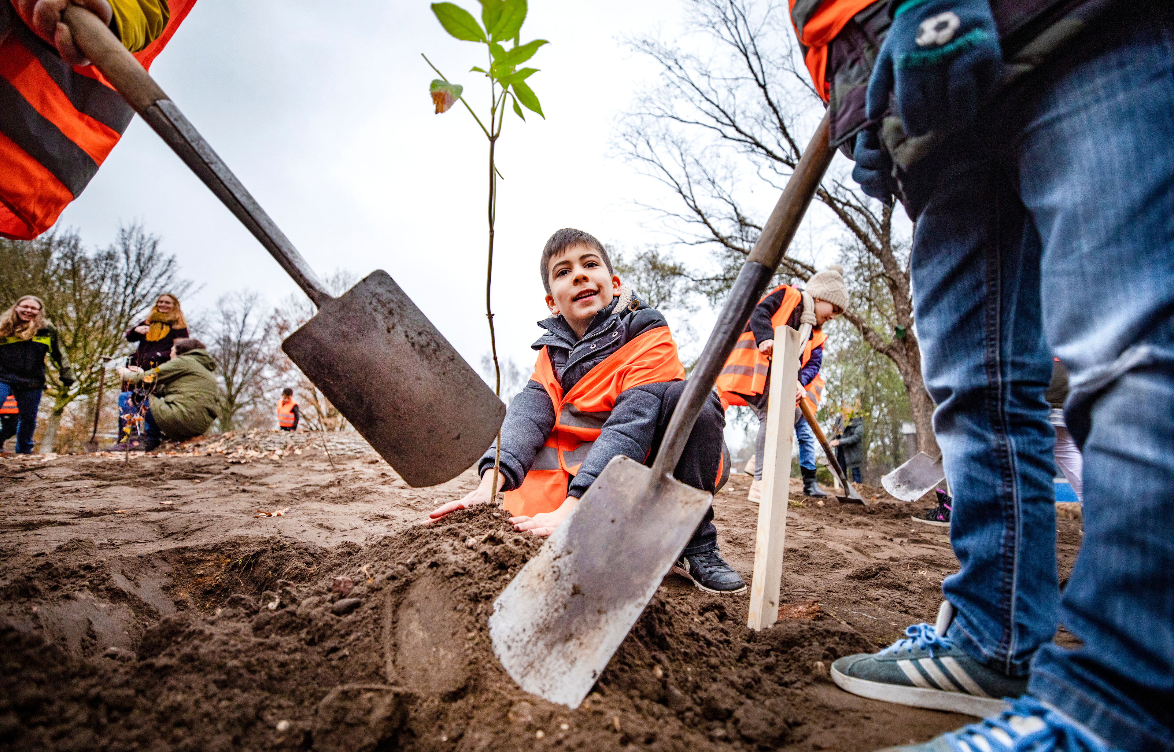 Kinderen planten een jonge boom in de grond met scheppen, in een park.