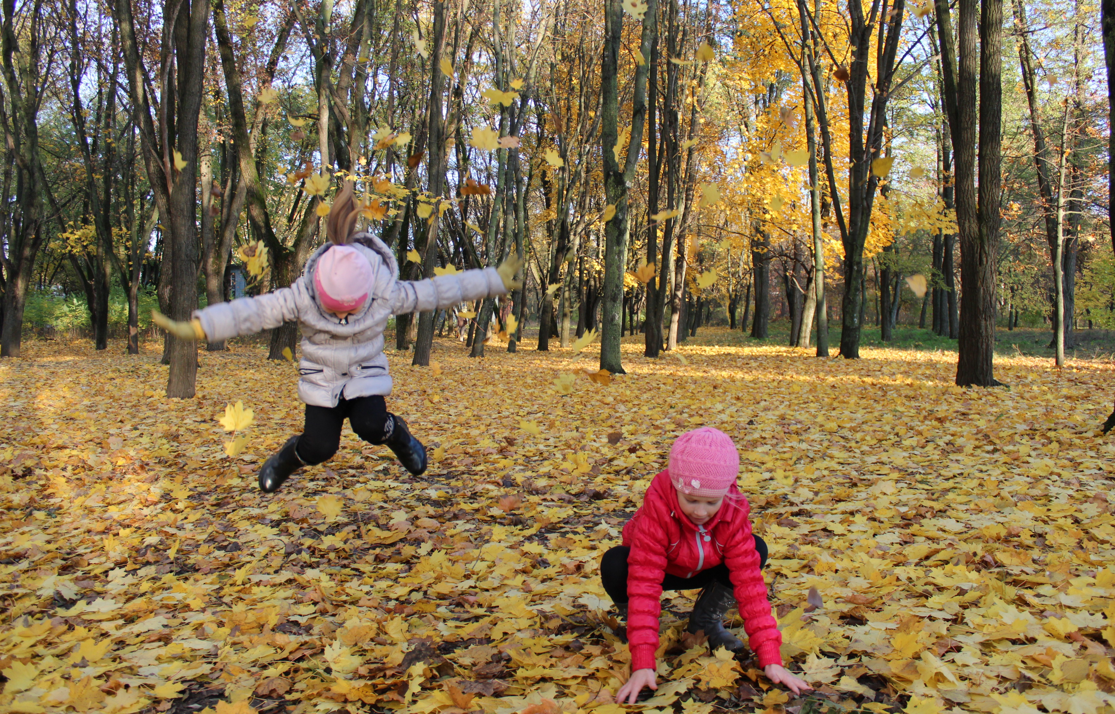 Twee kinderen spelen in een herfstbos vol gele bladeren, één springt en één hurkt.