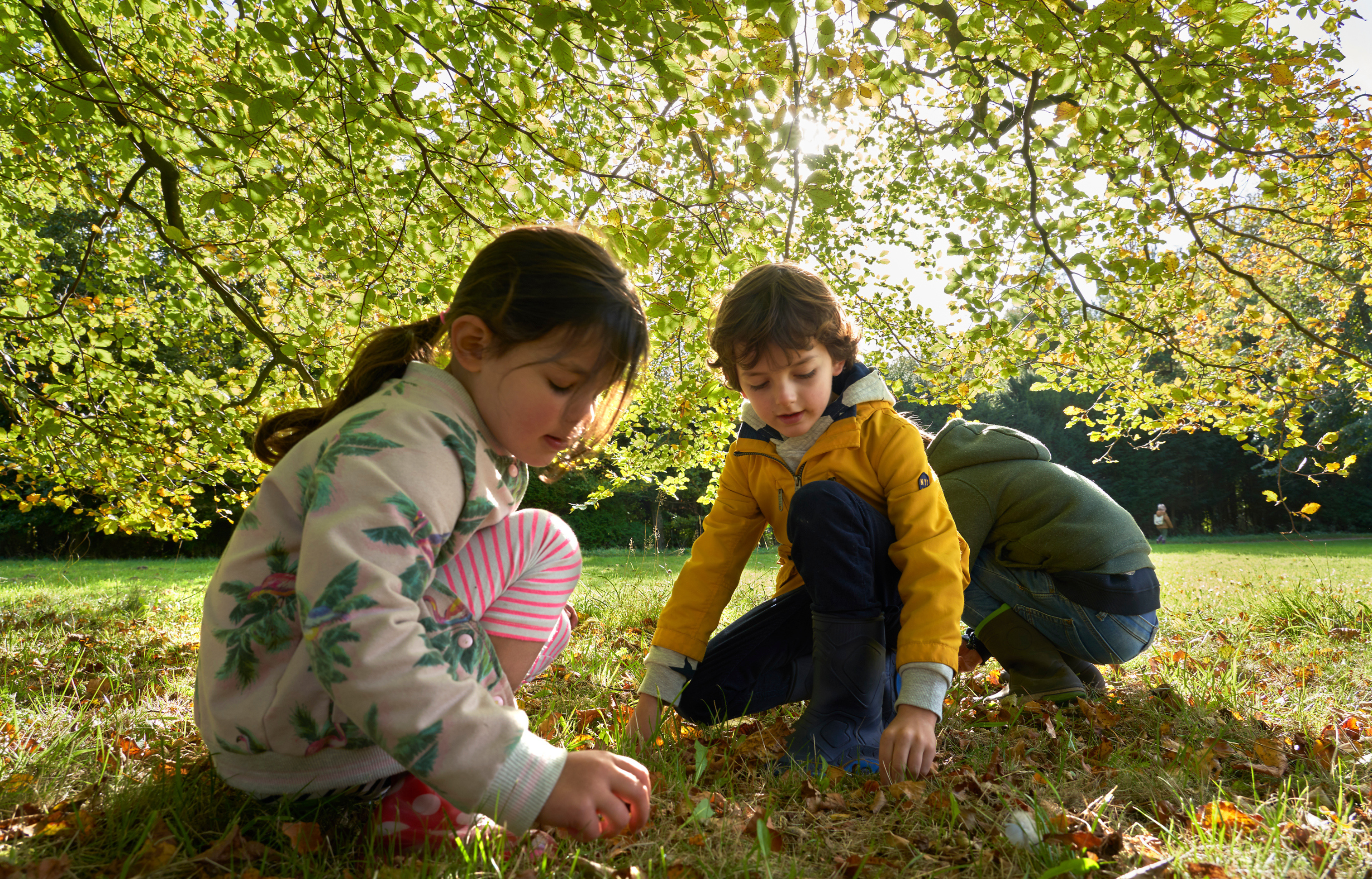 Twee kinderen spelen in het gras onder een boom vol bladeren op een zonnige dag.