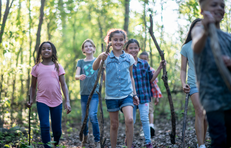 Groep kinderen wandelt met stokken door een zonnig bos.