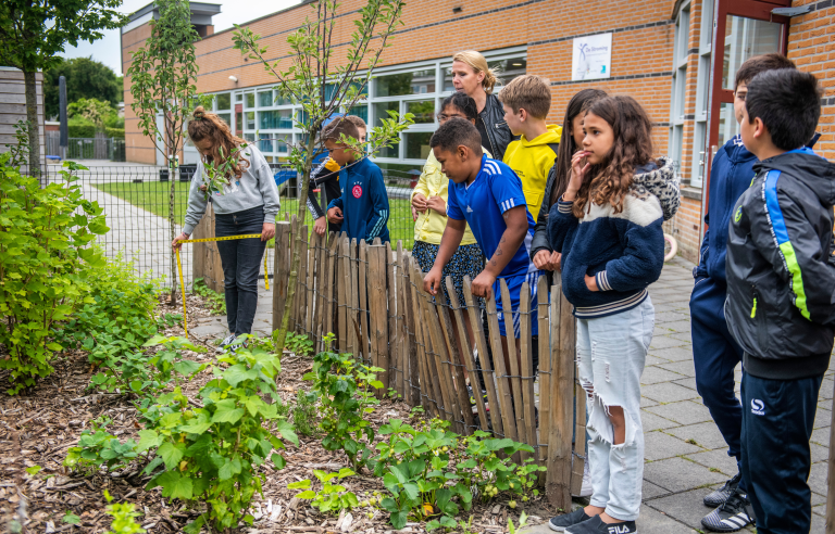 Kinderen observeren een tuin, een meisje meet met een meetlint; schoolgebouw op de achtergrond.