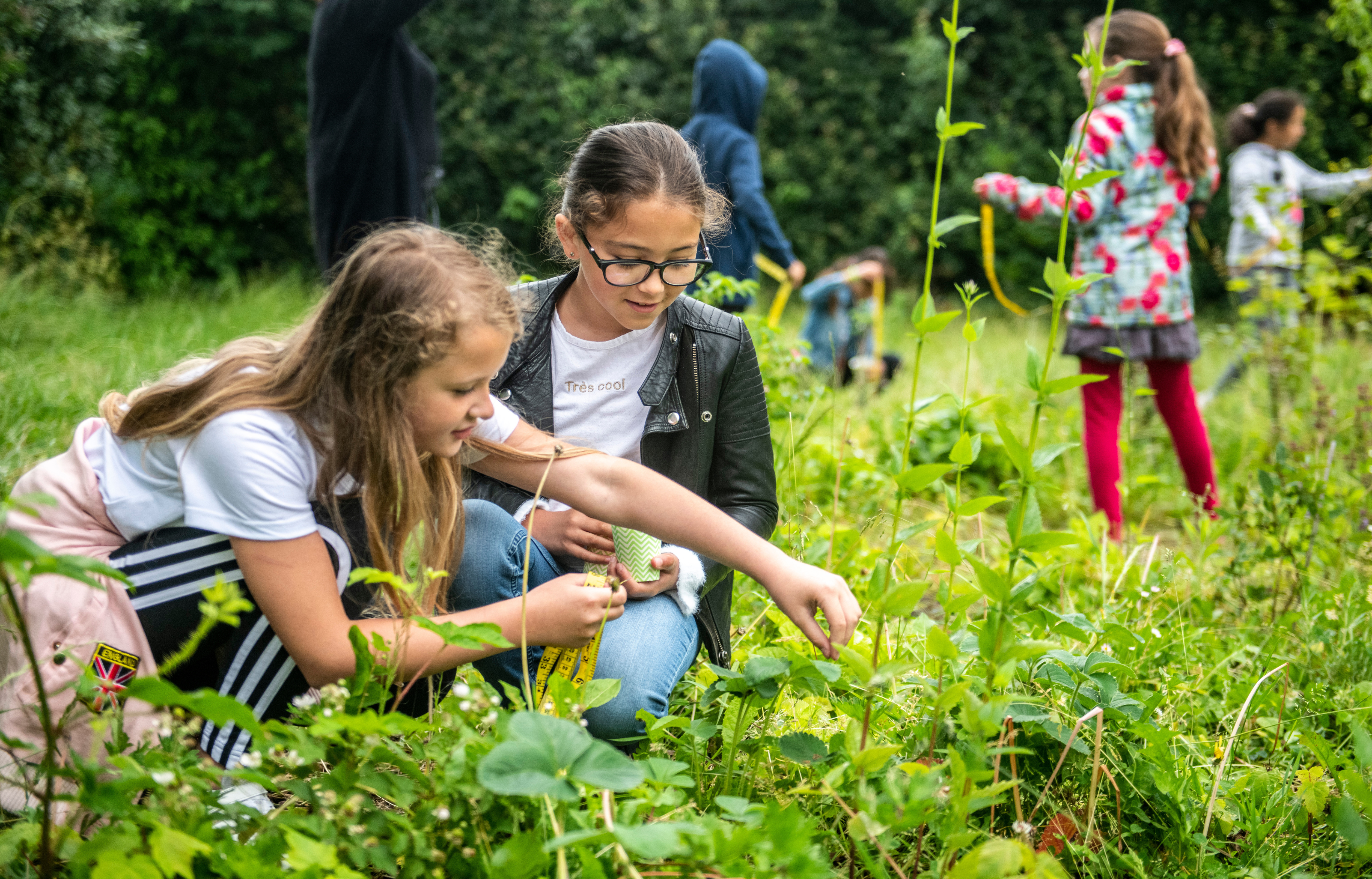 Kinderen meten planten in een groene tuin met een meetlint.